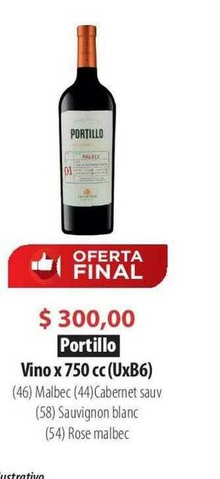 Parodi Portillo Vino oferta