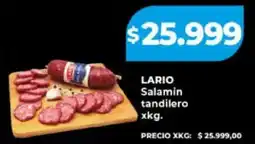 Supermayorista Vital Lario salamin tandilero oferta