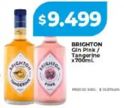 Supermayorista Vital Brighton gin pink/ tangerine oferta
