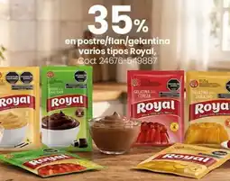 Coto Royal en postre/flan/gelantina varios tipos oferta