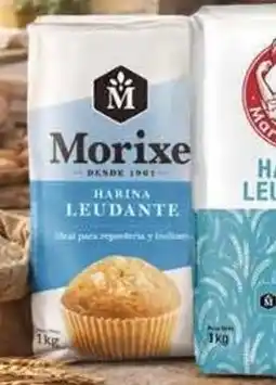 Coto Morixe Harina leudante oferta