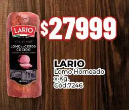 Diarco Lario lomo horneado oferta
