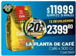 Diarco La planta de café café oferta