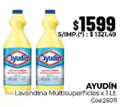 Diarco Ayudín lavandina multisuperficies oferta