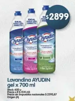 Supermercados Buenos Días Ayudín lavandina gel oferta