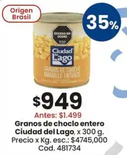 Coto Ciudad del lago granos de choclo entero oferta