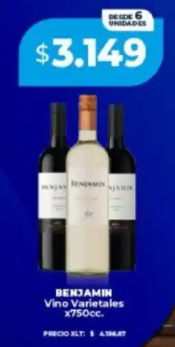 Supermayorista Vital Benjamin vino varietales oferta
