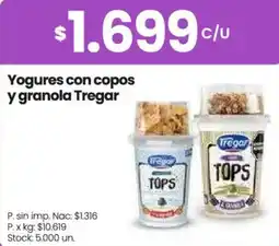 Changomas Tregar yogures con copos y granola oferta
