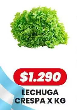 Autoservicio Capo Lechuga crespa oferta