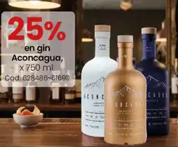 Coto Aconcagua en gin oferta