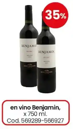 Coto Benjamin en vino oferta
