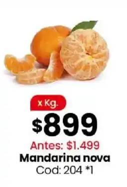 Coto Mandarina nova oferta