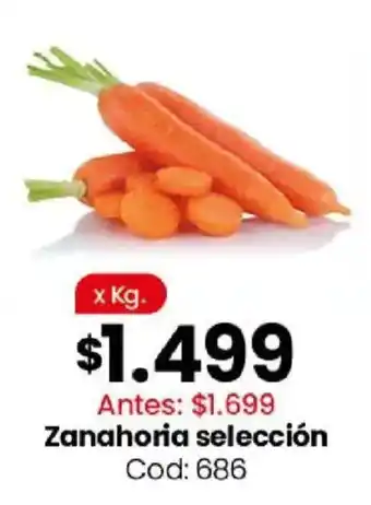 Coto Zanahoria selección oferta