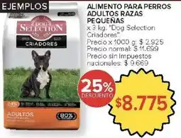 Carrefour Market Dog selection criadores alimento para perros adultos razas pequeñas oferta