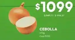 Diarco X$ - cebolla x kg cód:75120 oferta