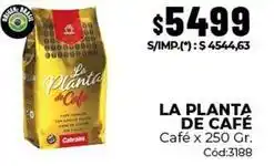 Diarco La planta de café - café x 250 gr oferta
