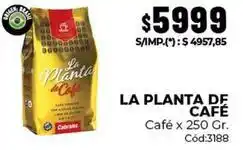 Diarco La planta de café - la planta de café café oferta
