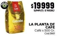 Diarco Cabrales - la planta de café café x 500 gr. cód:3661 oferta