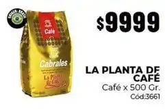 Diarco Cabrales - café oferta