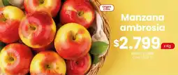 Coto Manzana ambrosia oferta