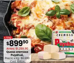 Coto Puyehué queso cremoso oferta