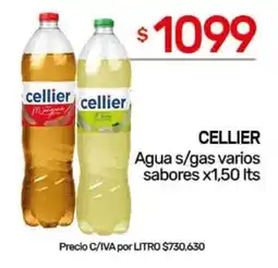 Nini Mayorista Cellier agua s/gas varios sabores oferta