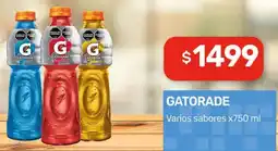 Nini Mayorista Gatorade varios sabores oferta