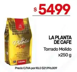 Nini Mayorista La planta de cafe torrado molido oferta