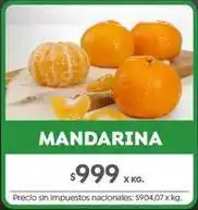 Jumbo X$ - mandarina oferta