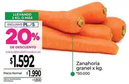 La Anonima Zanahoria granel oferta