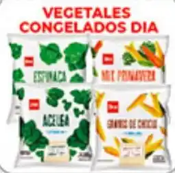Supermercados DIA Dia vegetales congelados oferta