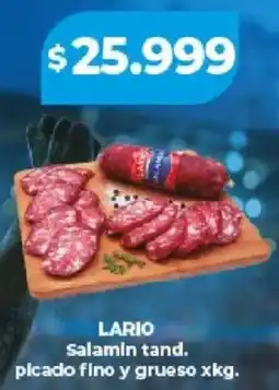 Supermayorista Vital Lario salamin tand. picado fino y grueso oferta