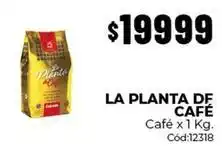 Diarco La planta de café café oferta