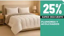 Diarco Plumones y acolchados oferta