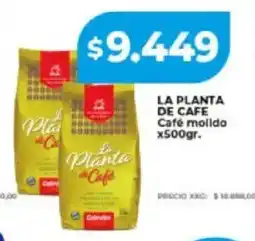 Supermayorista Vital La planta de cafe café molido oferta