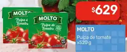 Nini Mayorista Molto pulpa de tomate oferta