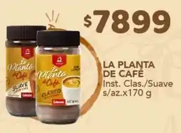 Nini Mayorista La planta de café inst. clásico/suave oferta