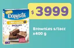 Nini Mayorista Exquisita brownies oferta