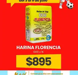 Super Nataly Harina florencencia 000 oferta