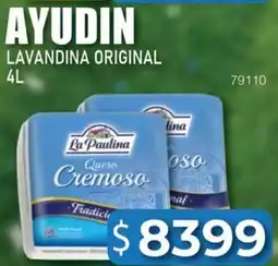 Masivos Ayudin lavandina original oferta