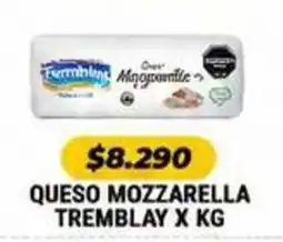 Autoservicio Capo Tremblay queso mozzarella oferta