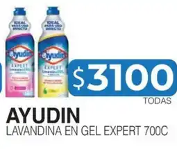 Masivos Ayudin lavandina en gel expert 700c oferta