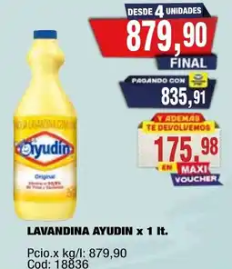 Maxiconsumo Ayudin lavandina oferta