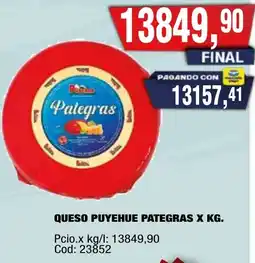 Maxiconsumo Pategras queso puyehue oferta