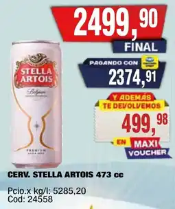 Maxiconsumo Stella artois oferta