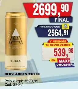 Maxiconsumo Andes cerveza rubia oferta