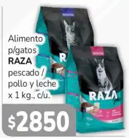 Beltrán Supermercados Raza alimento p/gatos oferta