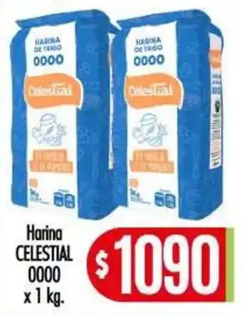 Supermercados Caracol Celestial harina de trigo 0000 oferta