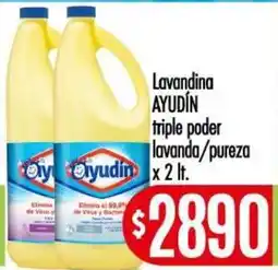 Supermercados Caracol Ayudín lavandina triple poder lavanda/pureza oferta