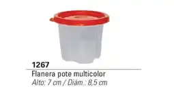 Colombraro Flanera pote multicolor oferta